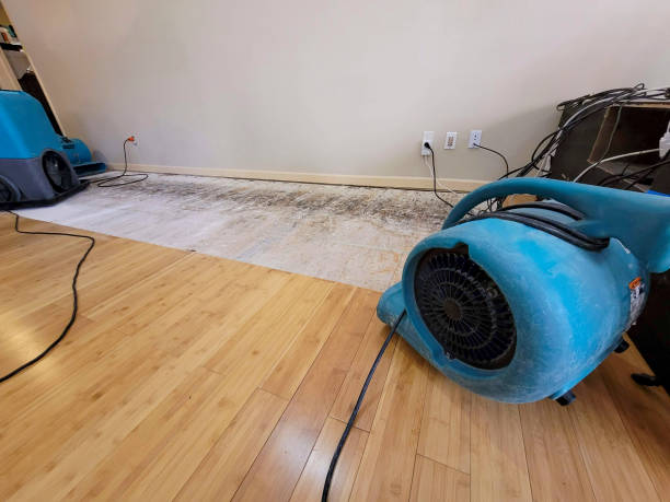Professional Water Damage Repair technician working in Minden, IA